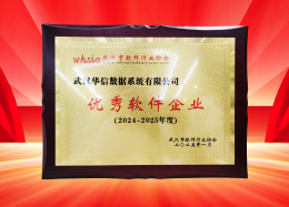 喜讯丨DB真人旗舰 DB数据获评2024~2025年度武汉市软件行业&ldquo;优秀企业&rdquo;、&ldquo;优秀工作者&rdquo;荣誉称号！